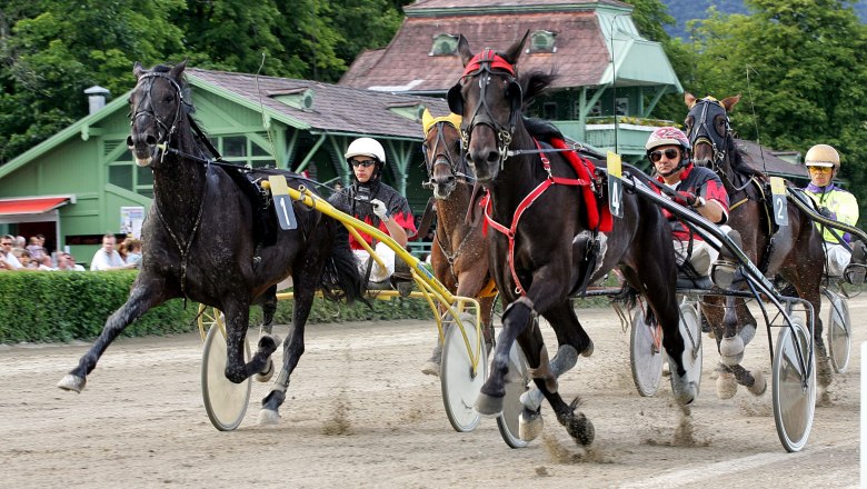 Badener Trabrennverein, © Badener Trabrennverein