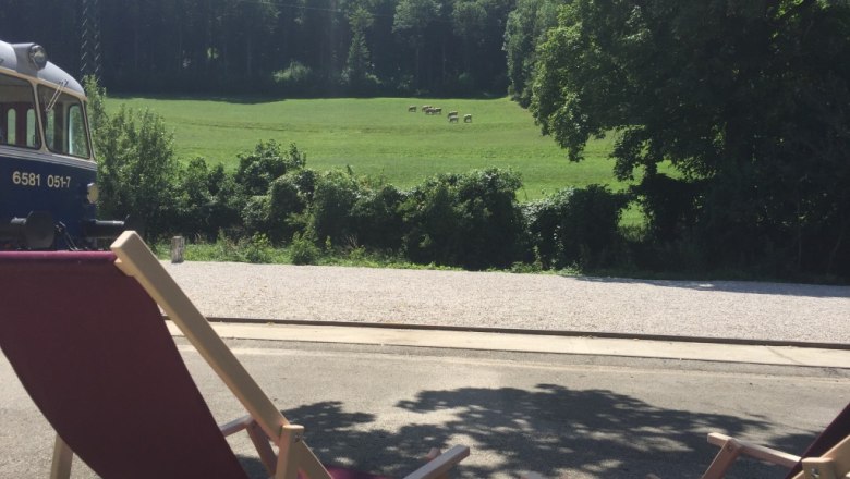 Liegestuhl mit Blick Richtung Wald und Wiese, © M. Schorn