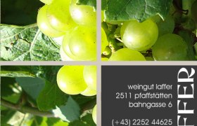 Traube und Kontaktdaten, © weingut-laffer.at