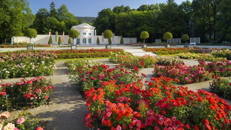 Orangerie Rosarium Baden, © Rainer Mirau