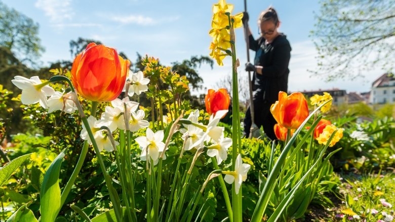 Frühling im Kurpark Baden, © Christian Dusek, Kurpark Baden