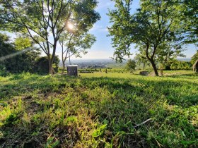 WeinWanderWeg Gumpoldskirchen, © Wienerwald Tourismus GmbH