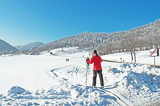 Loipe Hafnerberg-Peilstein, © Loipe Hafnerberg