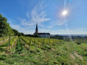 WeinWanderWeg Gumpoldskirchen, © Wienerwald Tourismus GmbH