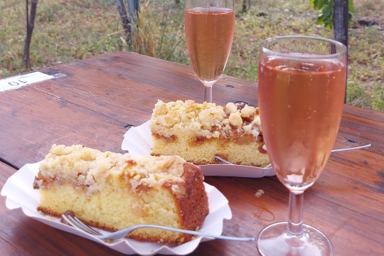 Frizzante und Apfelkuchen-Genuss in den Weinbergen, © Wienerwald Tourismus