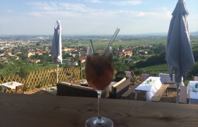 Ausblick von Schwechat bis zum Schneeberg, © martina Krug