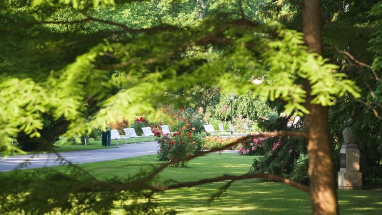 Rosarium Baden, © Lois Lammerhuber