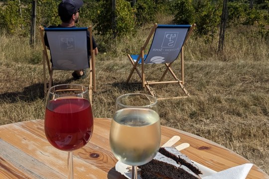 Genussvoll pausieren mit Traubensaft, Spritzer und Kuchen , © Wienerwald Tourismus