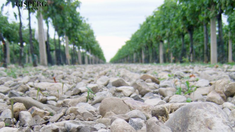 Die Kalkschotterböden des Steinfeldes, © Weingut Johann Gisperg