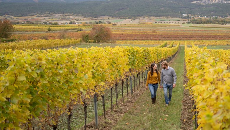 Julia und Manuel Herzog, Weingut Herzog, Brunngasse, Bad Vöslau, © Anna Herzog